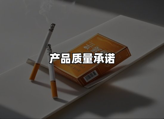 专业优势